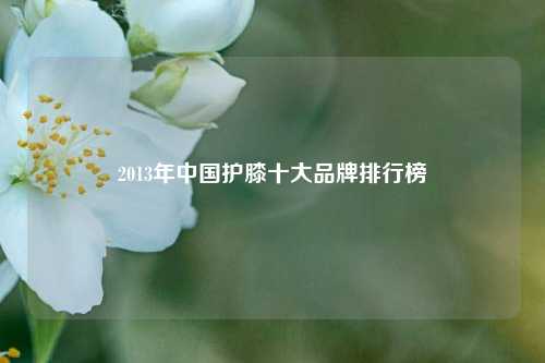 2013年中国护膝十大品牌排行榜