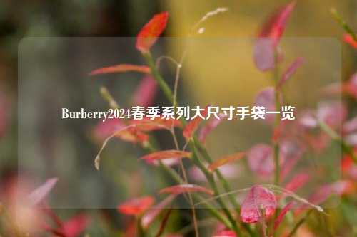 Burberry2024春季系列大尺寸手袋一览