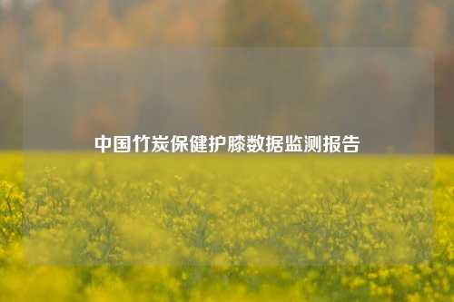 中国竹炭保健护膝数据监测报告