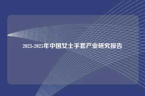 2023-2025年中国女士手套产业研究报告