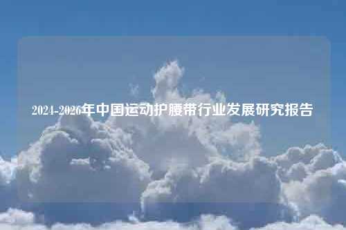 2024-2026年中国运动护腰带行业发展研究报告